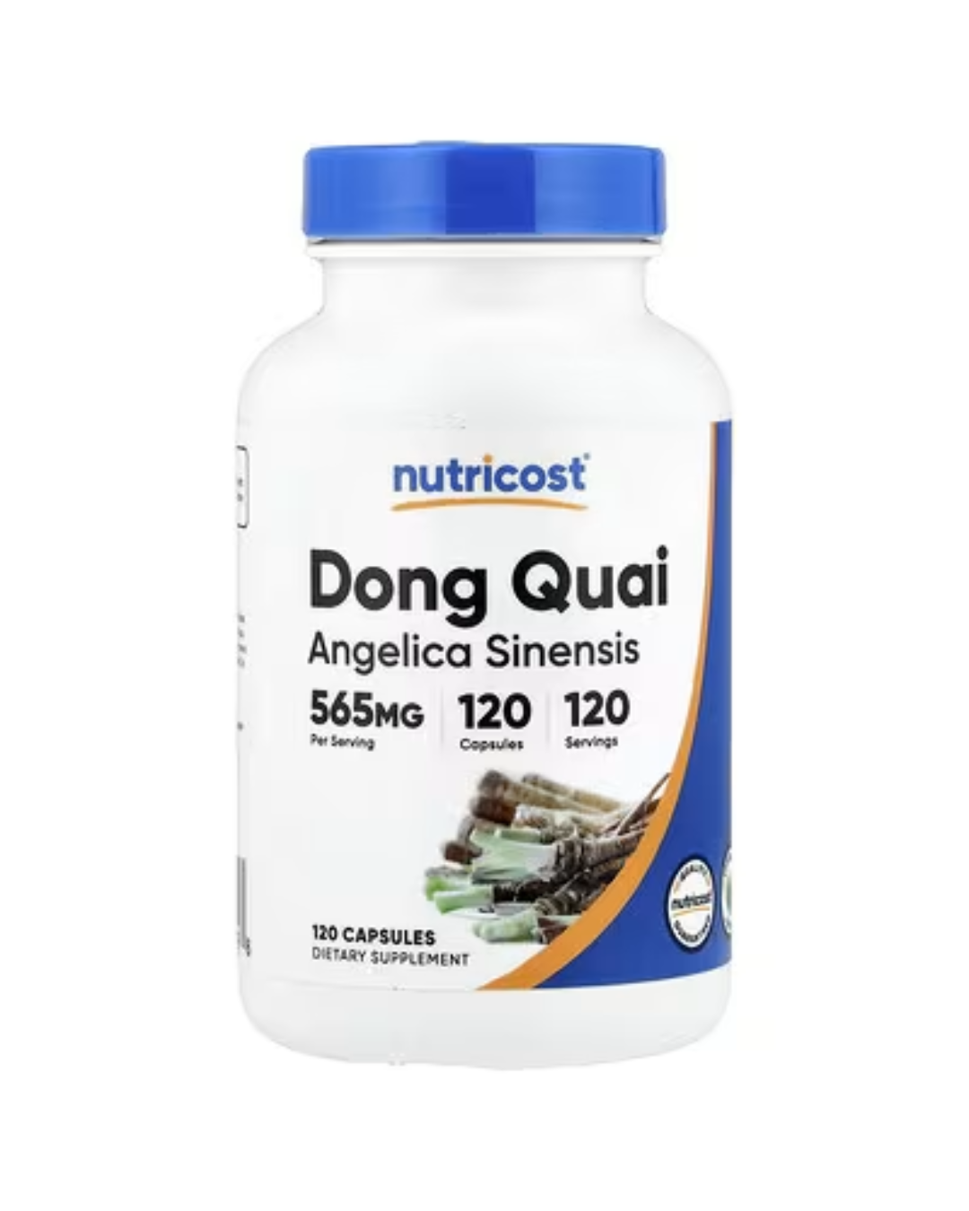 DONG QUAI 565 MG 240 CAPSULES / ANGELICA SINENSIS