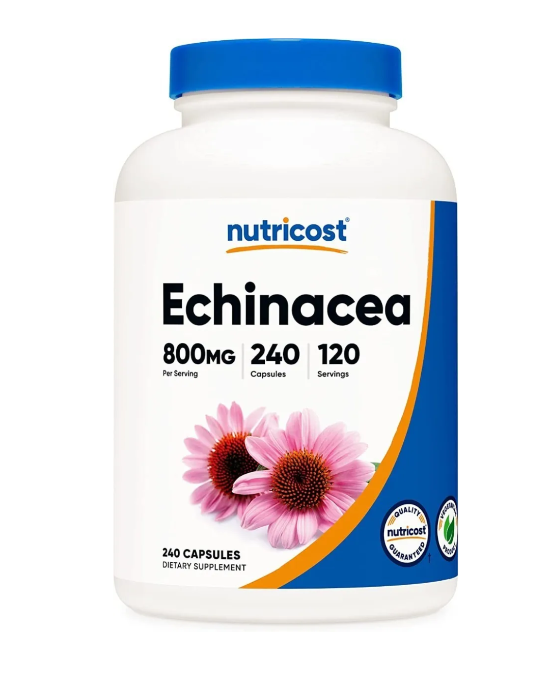 ECHINACEA 800MG 240 CAPSULES/ EQUINACEA